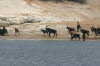 Chobe 20