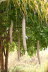 Nkwasi Lodge 2