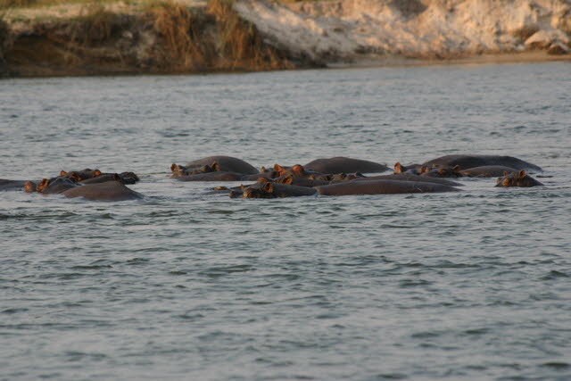Okavango 6